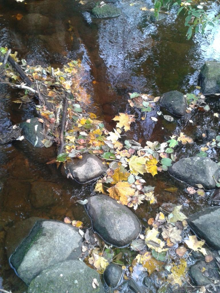 Autors: Ginta Alberte