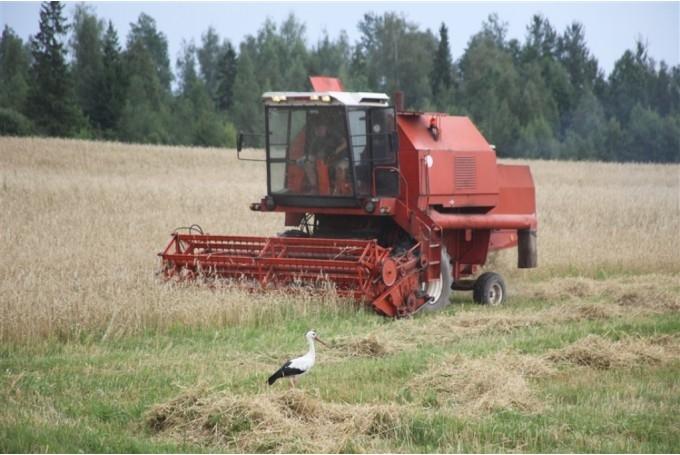 Autors: ilustratīvs