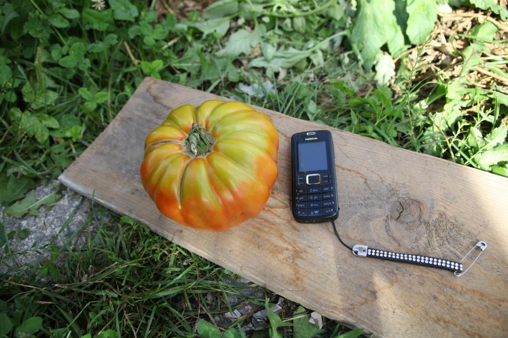 Autors: Gatis Bogdanovs