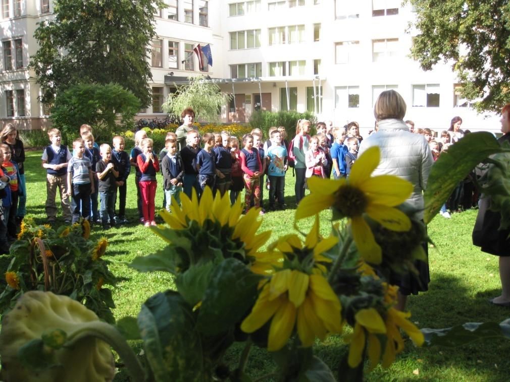 Autors: Diāna Odumiņa