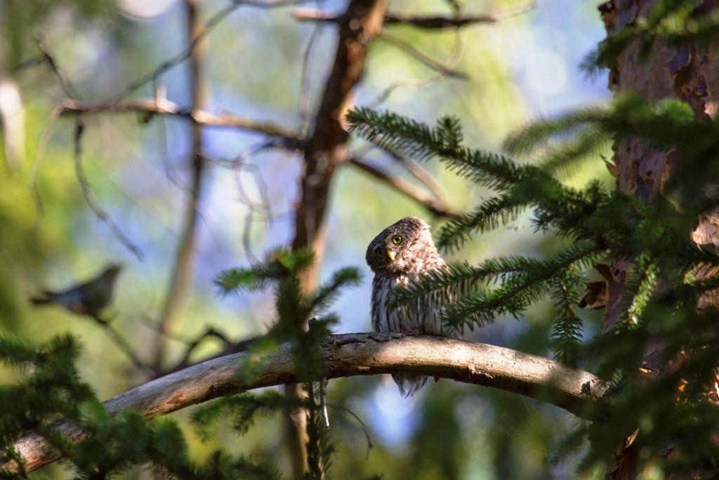 Autors: ilustratīvs