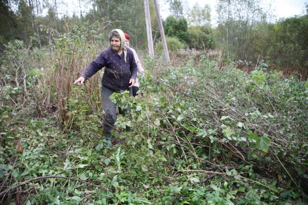 Beļavas pagasta “Bitenieku” mājas iedzīvotāja Mudīte Kazāka ir neizpratnē, kāpēc augstsprieguma līnijas tīrīšana jāveic pa nakti, turklāt neizskaidrojama iemesla dēļ sagandējot pagalmu un dārza daļu. 	
Autors: Gatis Bogdanovs 