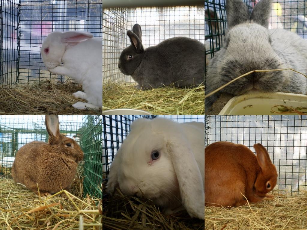 Autors: publicitātes