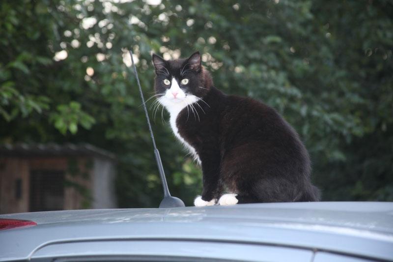 Autors: ilustratīvs