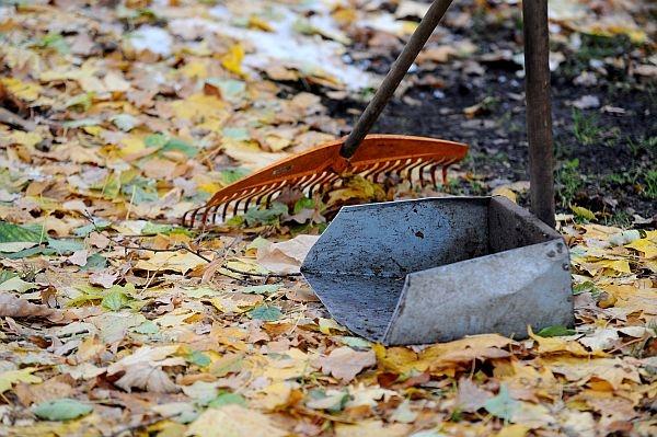 Autors: ilustratīvs