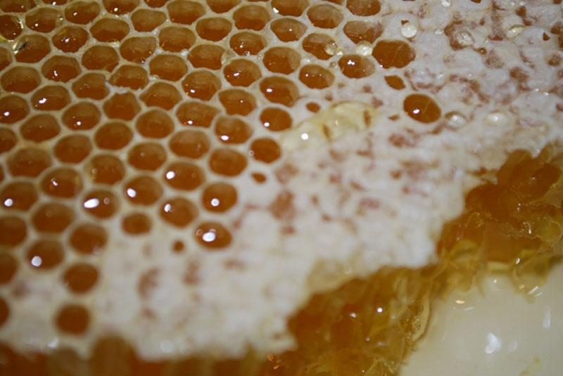 Autors: ilustratīvs