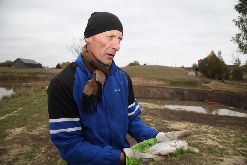 Daukstu pagasta “Jaunārēs” Ziediņu ģimenes saimniecības deviņos komercdīķos Vilnis Ziediņš audzē dažādu sugu zivis. Viņš četru hektāru platībā izveidojis dīķu sistēmu. “Jaunārēs” jau notikuši semināri par akvakultūrām, kā arī “Reinīša kausa” izcīņa makšķerēšanā, pulcējot aptuveni 40, 50 dalībnieku. Uz “Jaunārēm” brauc ne tikai makšķernieki, bet arī pirts cienītāji, peldēties kārotāji un lauku klusuma baudītāji. “Sākums bija lielā dīķa ierīkošana vietā, kur savulaik bija grāvis, kas pavasaros mēdza pārplūst. Taagad ir pat atsevišķa ūdenskrātuve, kurā aug palijas, kuru uzturvērtība ir augstāka nekā lašiem. Gatavojoties nārstam, tās ir īpaši skaistas. Ja ir izdevies izmakšķerēt paliju, to nevar laist atpakaļ, jo šīs zivis neizdzīvo,” saka V.Ziediņš.
Autors: Evita Brokāne