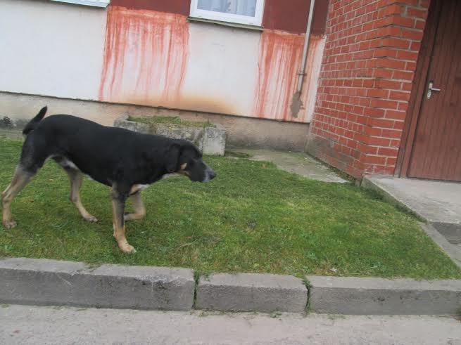 Autors: no personiskā arhīva