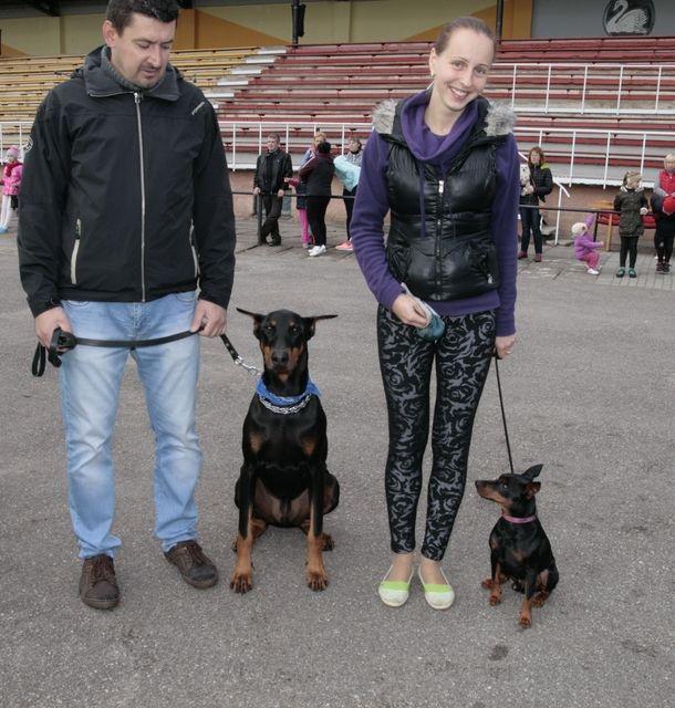 Gulbenietis Lauris Mincāns, kurš ir dobermaņa šķirnes suņa Lorda saimnieks, uzskata – pilsētā ir jābūt kvalitatīvām iespējām suņu apmācībā. Tāpat domā gulbeniete, kinoloģe Evita Vanaga, kurai pieder pundurpinčera šķirnes suns Taisons. 	