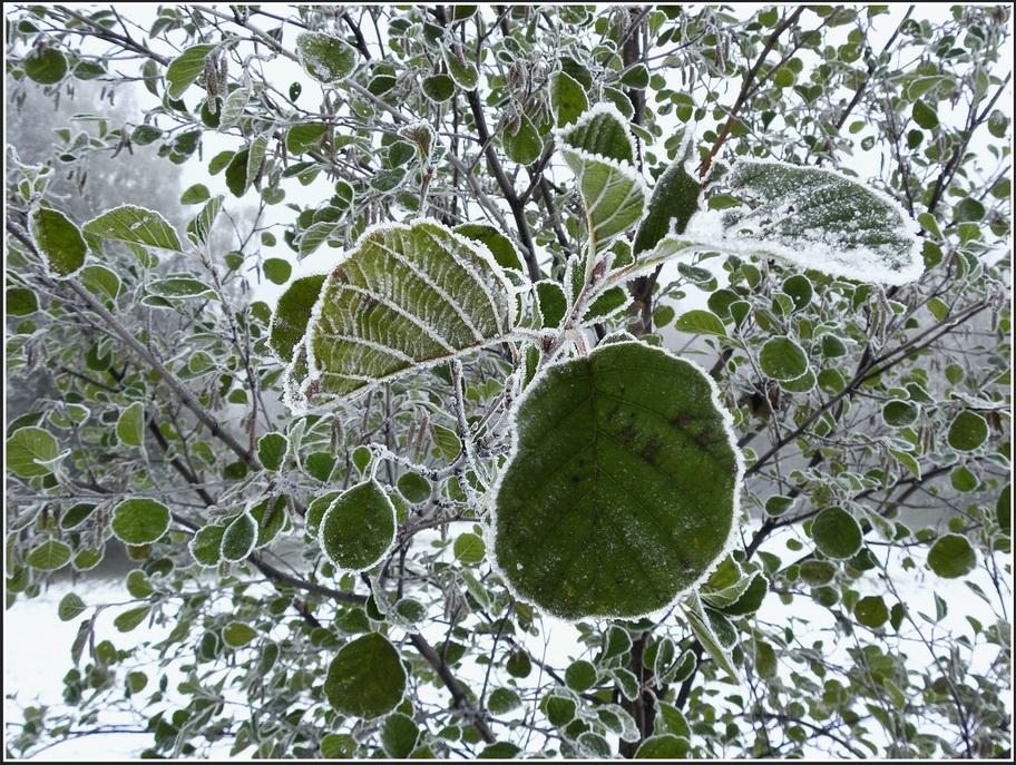 Autors: ilustratīvs