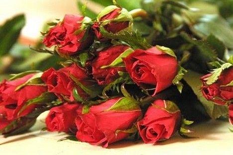 Autors: ilustratīvs