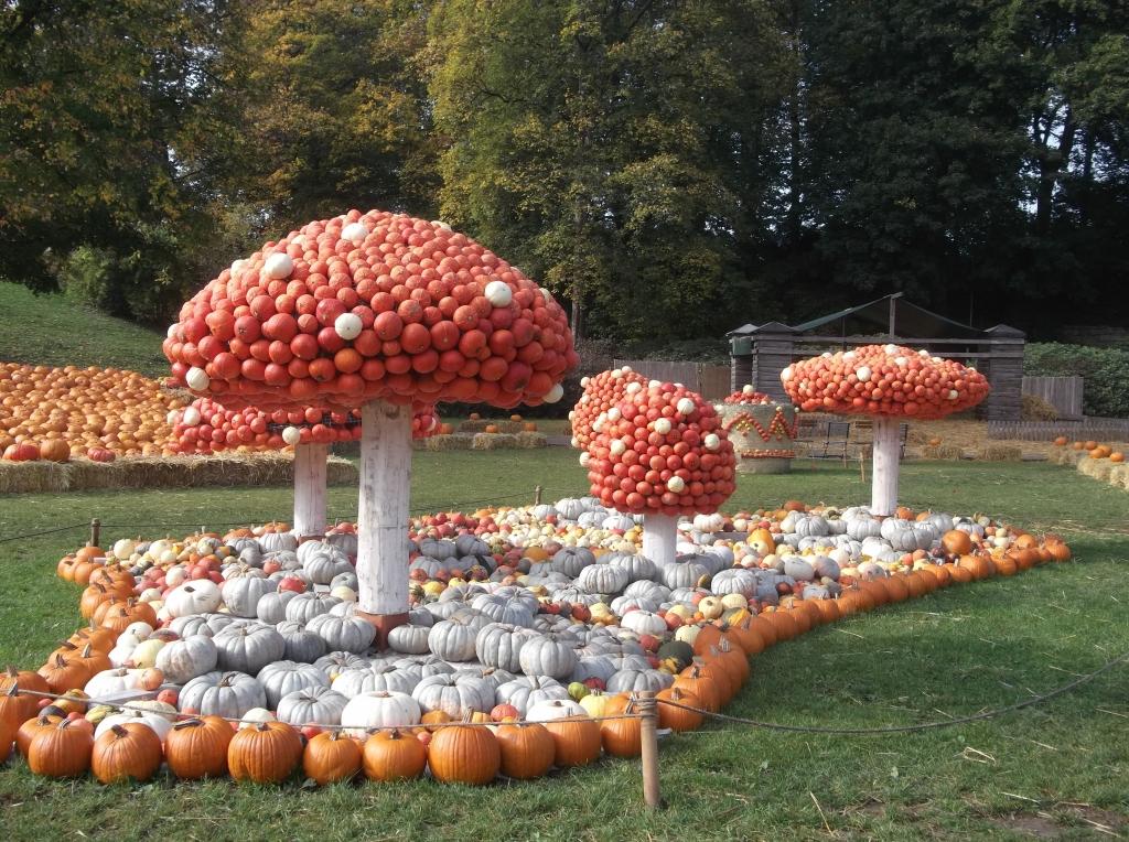 Lūdvigsburgas baroka dārzos Vācijā katru gadu notiek ķirbju svētki. Ķirbju izstādē izmantotas gandrīz divas tonnas ķirbju. 
Autors: Ingrīda Šteinberga