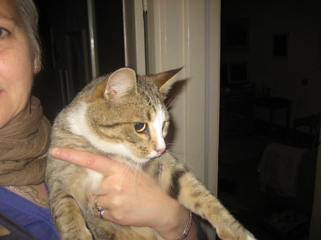 Autors: Diāna Odumiņa