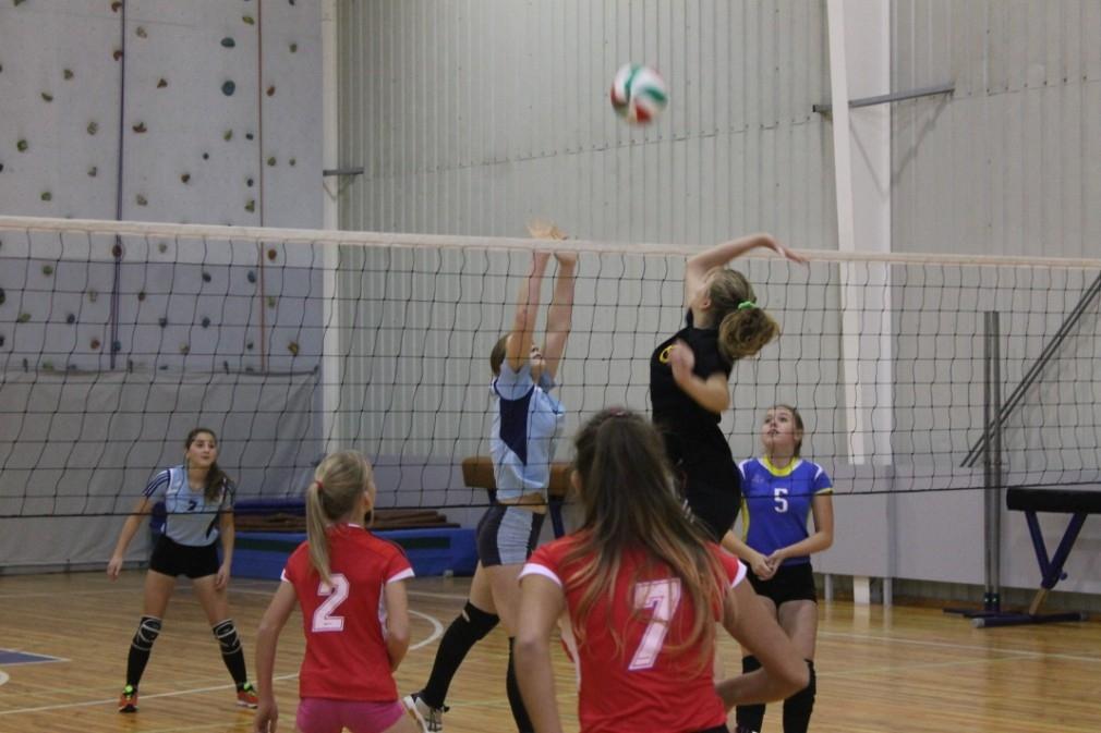 Autors: Ziedonis Lazdiņš