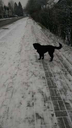 Autors: no personiskā arhīva