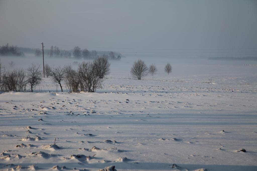 Autors: Gatis Bogdanovs