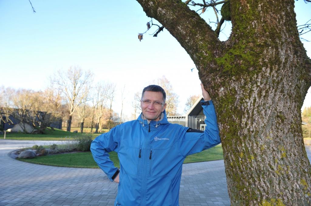 Aluksniesiem.lv raksta attēla aizvietotājs