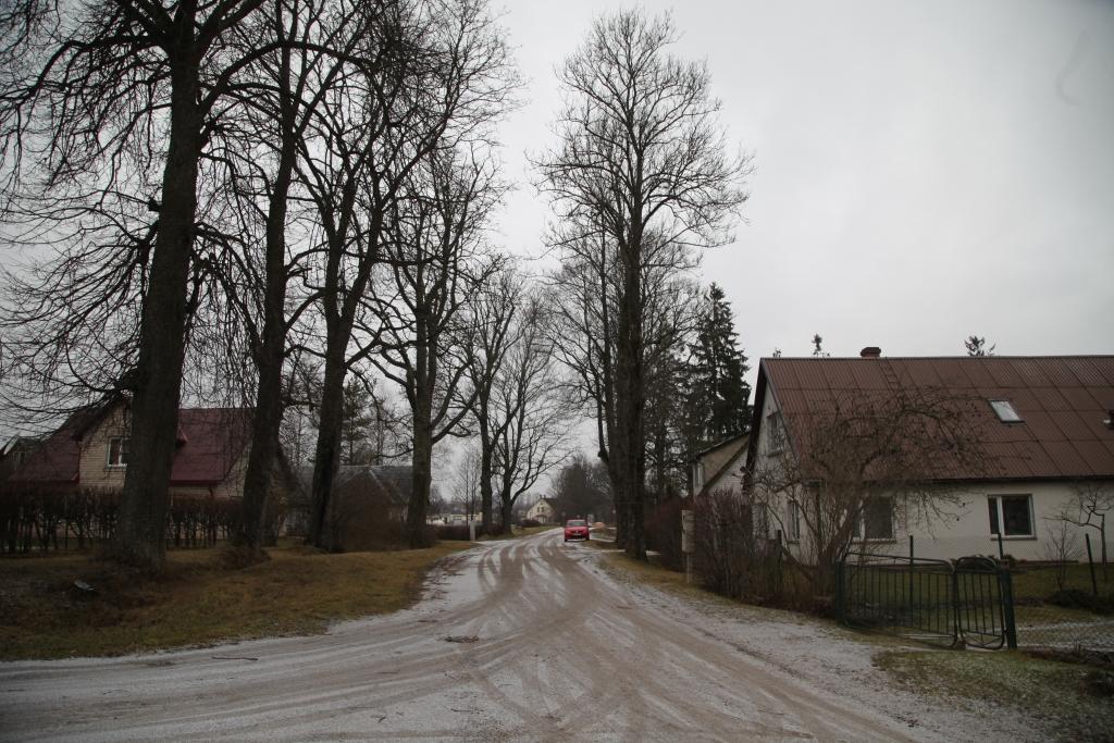 Autors: Gatis Bogdanovs