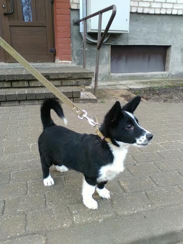 Autors: no personiskā arhīva