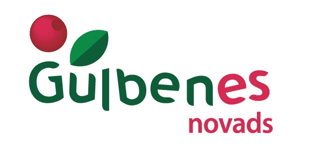 Jaunā Gulbenes novada logo viens no autoriem ir Gulbenē dzimušais Ilmārs Drīliņš, kurš uzskata, ka jaunajam logo nav jāpatīk, tam ir jābūt atmiņā paliekošam. “Ir jāatstāj vieta vērotāja fantāzijai,” saka I.Drīliņš.	
Autors: no novada domes arhīva