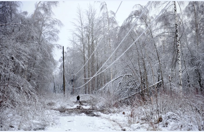 Autors: ilustratīvs (www.diena.lv)