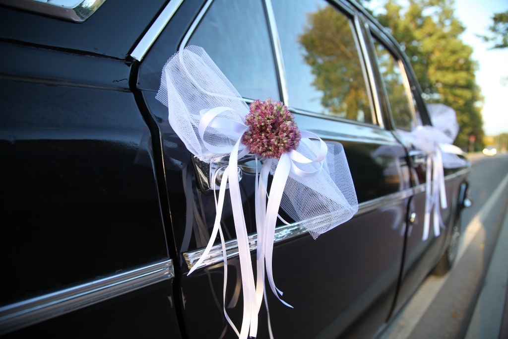 Autors: Gatis Bogdanovs