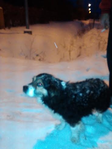 Autors: no personiskā arhīva