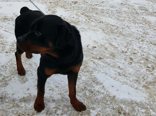 Autors: no personiskā arhīva