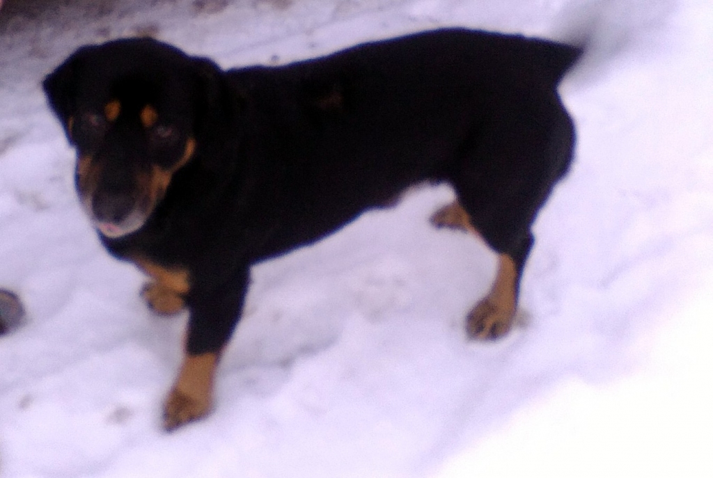 Autors: no personiskā arhīva