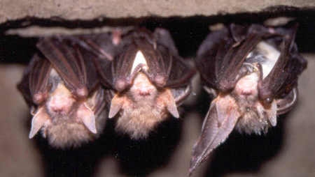 Autors: ilustratīvs