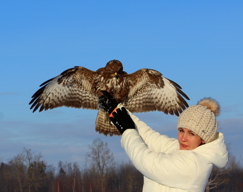 “Arī mums, cilvēkiem, gadās nonākt nelaimē. Tāpat ir ar savvaļas dzīvniekiem. Nedrīkstam palikt vienaldzīgi,” uzskata Iveta Sarmanova, kura uzņēmusies rūpes par cietušu peļu klijānu. 
Autors: no personiskā arhīva
