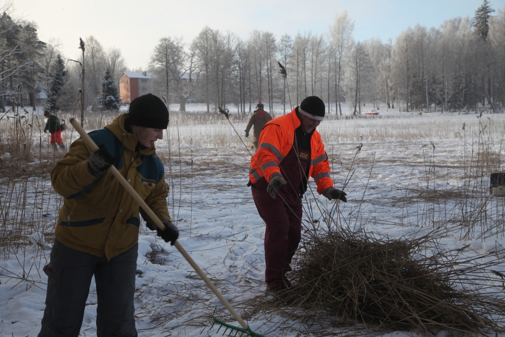 No sirds un tā, lai kļūst silti sirdij un miesai! Tā strādāja talcinieki pagājušajā sestdienā Stāmerienas ezermalas sakopšanā. 	
Autors: Gatis Bogdanovs