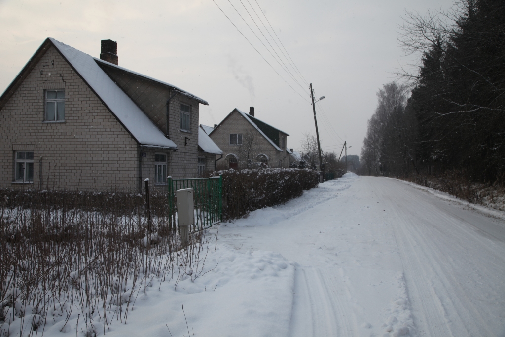 Ķiršu iela Gulbenē ir privātmāju mikrorajons, kas atrodas tieši blakus dzelzceļa sliedēm, aiz kurām ir krūmiem aizaugusi teritorija. Tur dzīvo ne tikai lapsas, bet arī stirnas. Lapsas, iespējams, nāk meklēt ēdamo. 

Autors: Gatis Bogdanovs