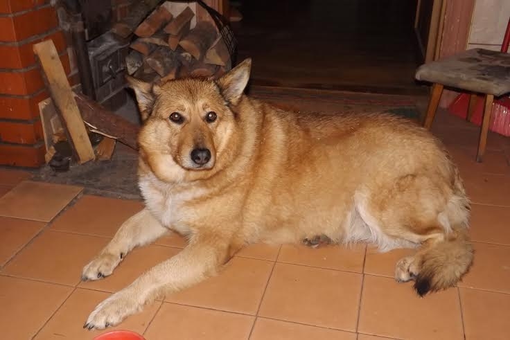 Autors: no personiskā arhīva