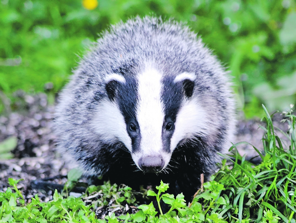 Autors: no miljolare.no