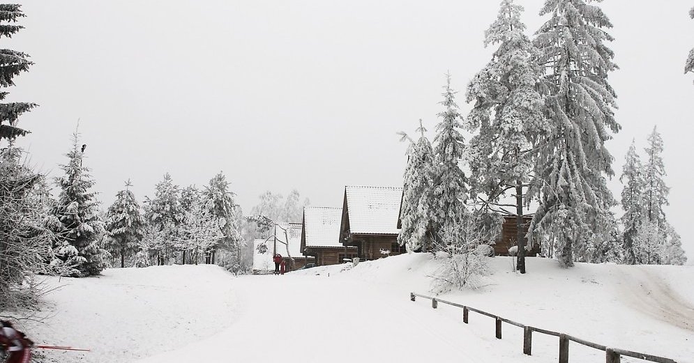 Slēpošanas trase Smeceres silā (Madonas novads).
Autors: www.delfi.lv