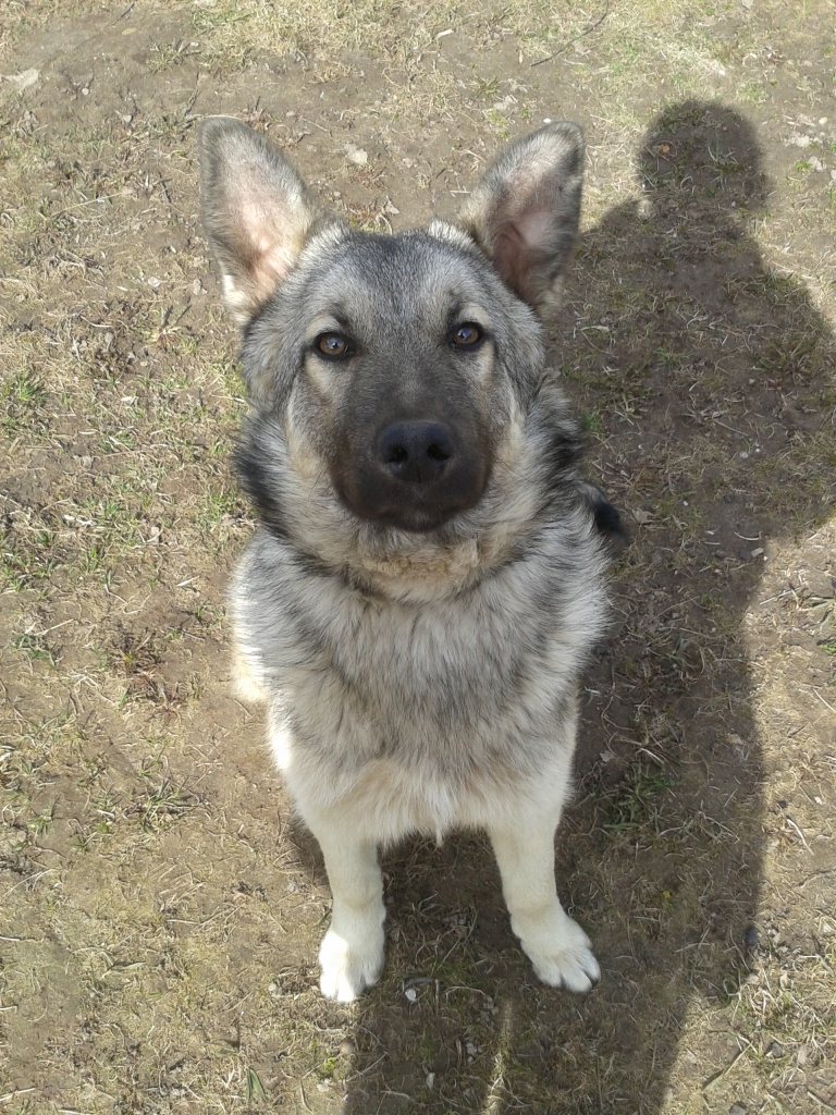 Autors: no personiskā arhīva