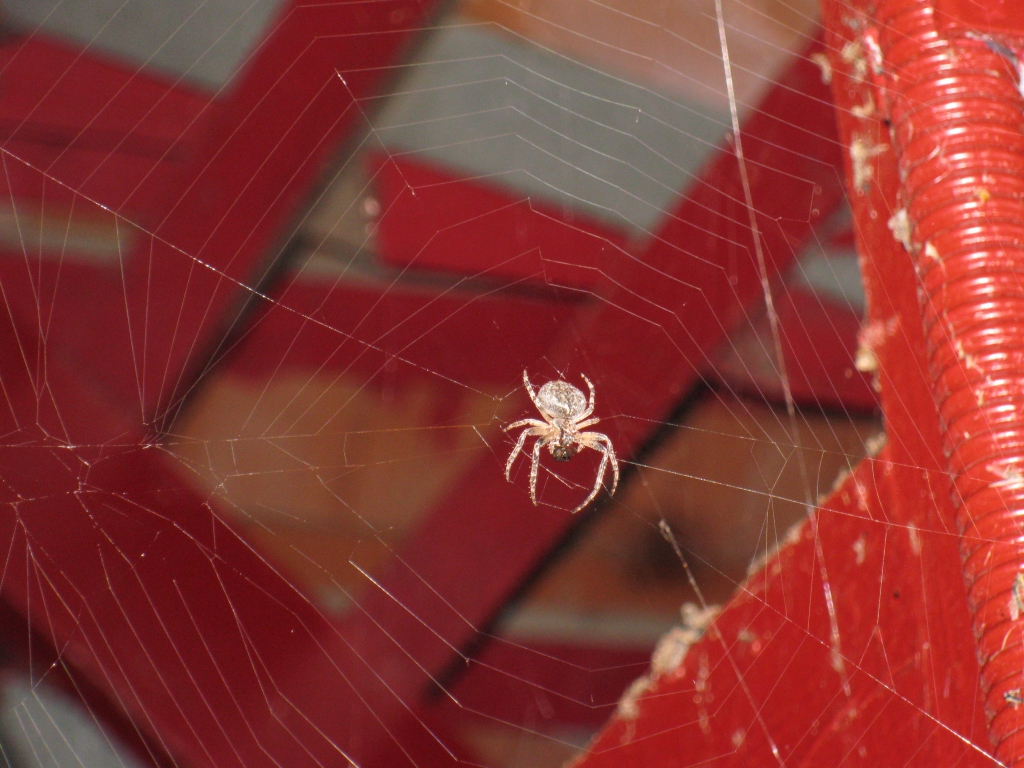 Autors: Gatis Bogdanovs