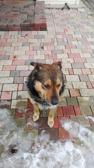 Autors: no personiskā arhīva