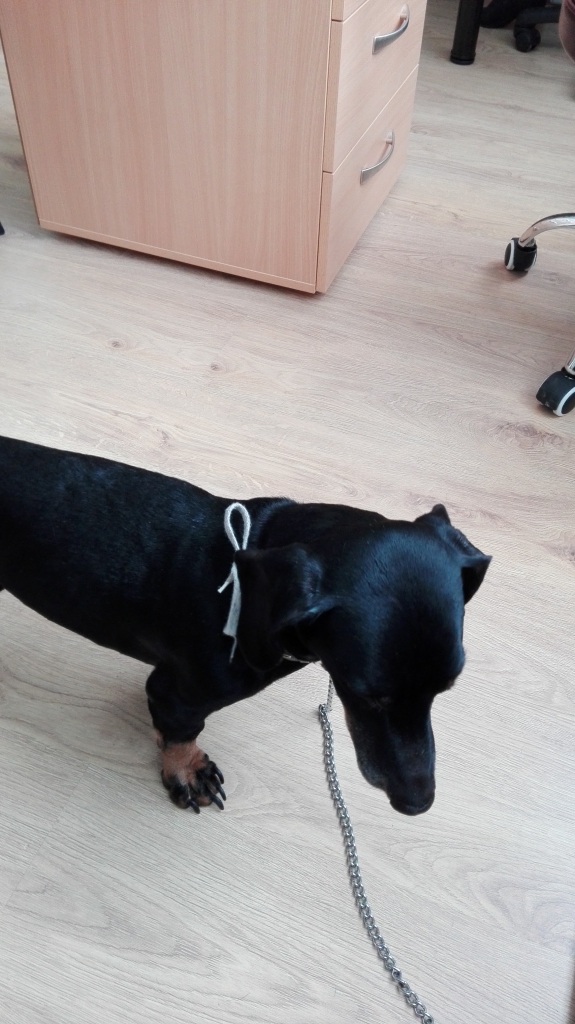 Autors: no personiskā arhīva