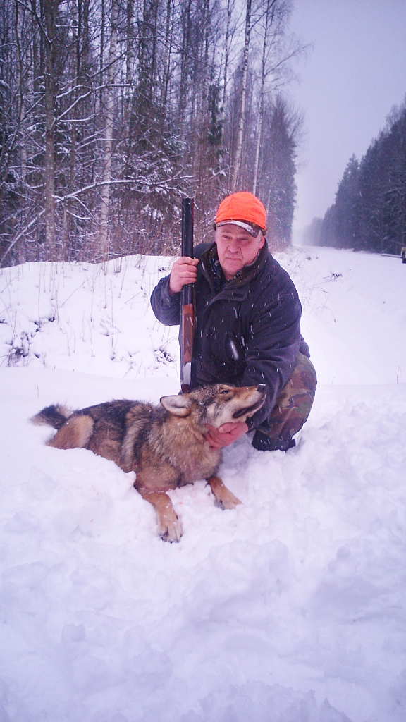 Medību dieviete Diāna šoreiz vilku medībās uzsmaidīja Sergejam Baikovam. 	
Autors: no personiskā arhīva