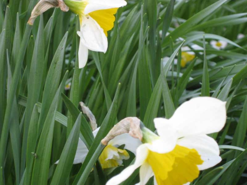 Autors: Tamāra Ulase