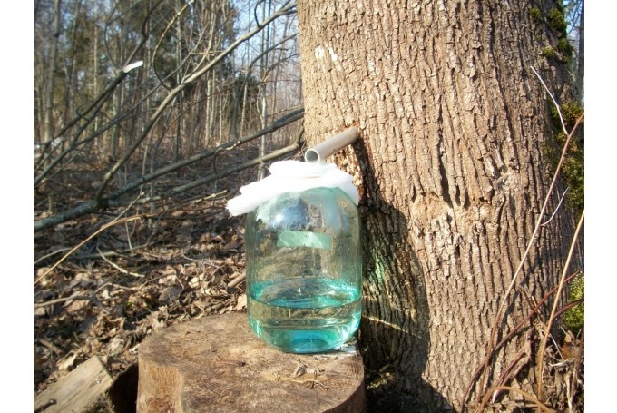 Autors: www.bauskasdzive.lv