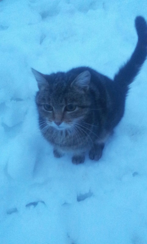 Autors: no personiskā arhīva