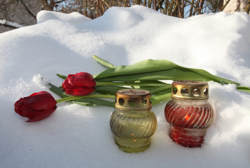 Autors: Gatis Bogdanovs