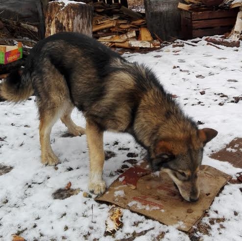 Autors: no personiskā arhīva