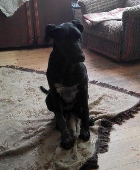 Autors: no personiskā arhīva