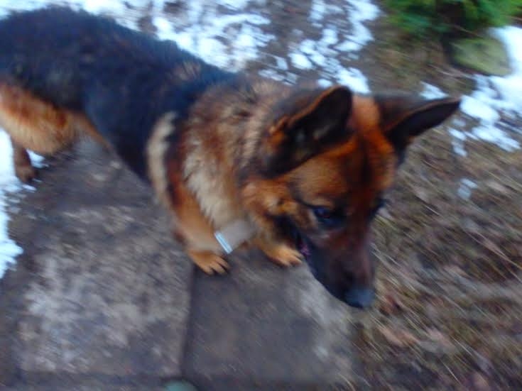 Autors: no personiskā arhīva