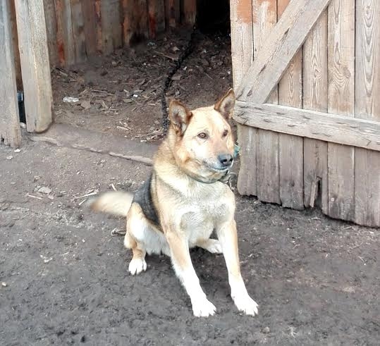 Autors: no personiskā arhīva