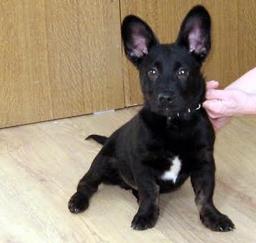 Autors: no personiskā arhīva